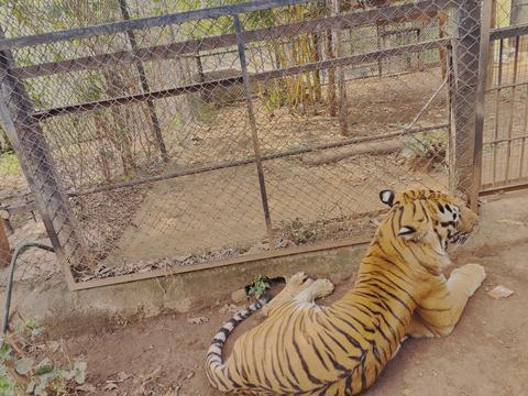 Kamalapur Zoo