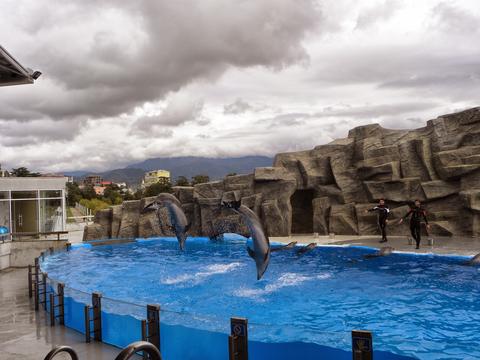 Batumi Dolphinarium