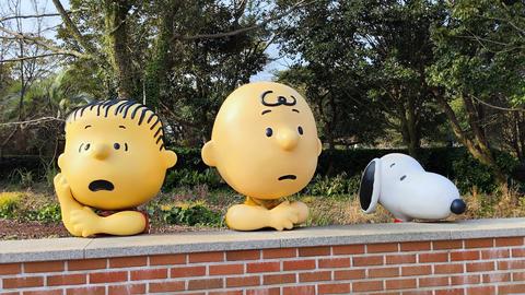 Snoopy Garden