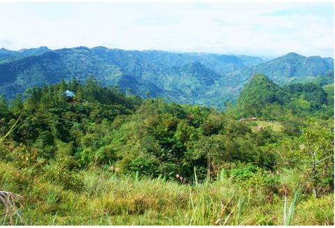 Central Cebu Protected Landscape