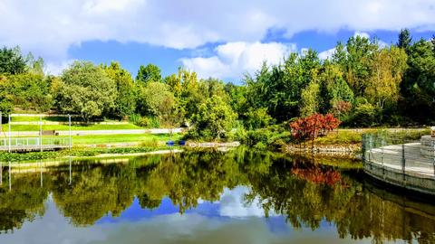 The Jerusalem Botanical Gardens