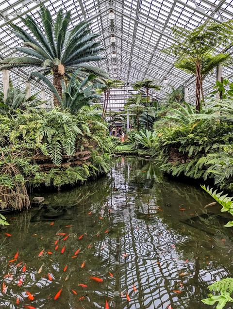 Garfield Park Conservatory - Reservations Required