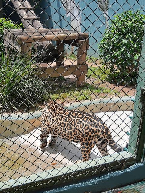 Zoológico Municipal de Guarulhos