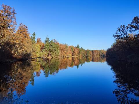 Bärensee