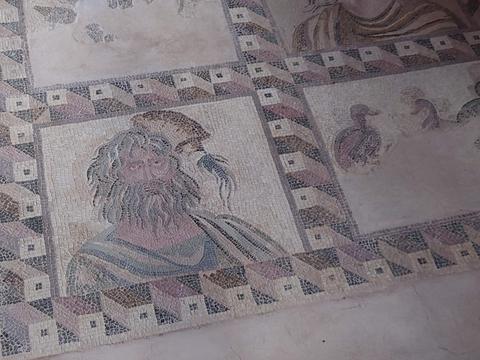 Paphos Mosaics