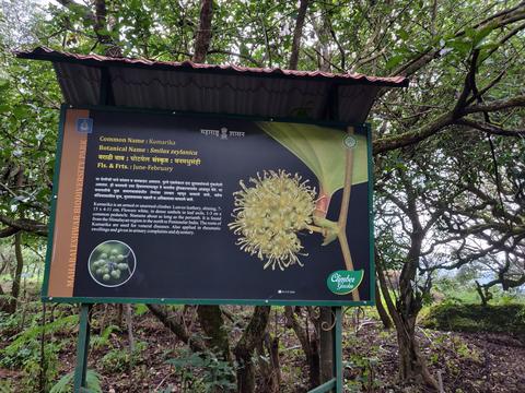 Biodiversity Park MAHABALESHWAR