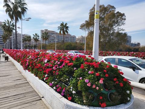 Pont de Rita Barberá