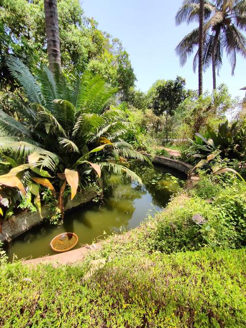 Native Biodiversity Garden