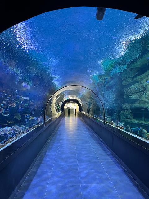 Trabzon Aquarium