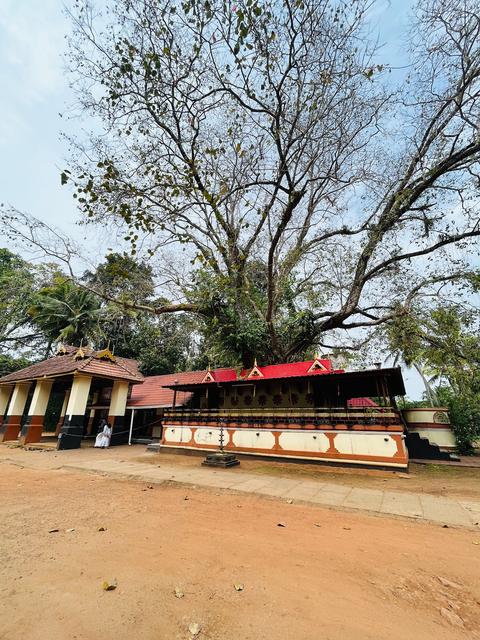 Sree Chirakkal Bhagavathi Temple