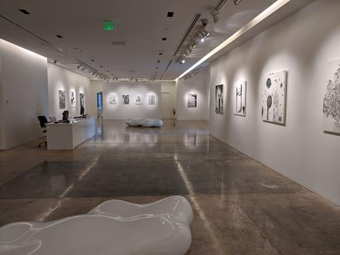 Anima Gallery