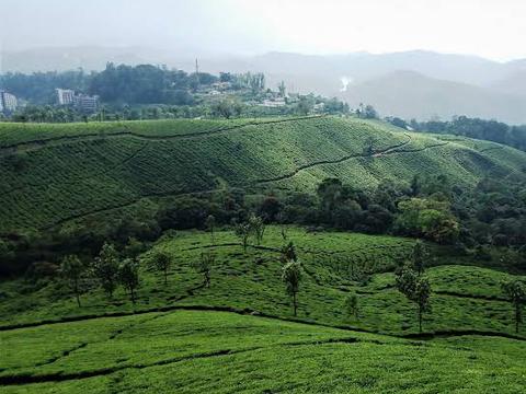 Munnar views