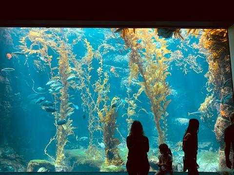 Birch Aquarium at Scripps Institution of Oceanography