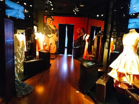 Flamenco Dance Museum