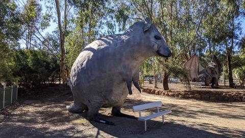 Cohunu Koala Park