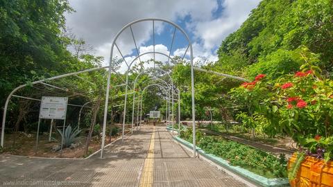 Parque Botânico do Ceará