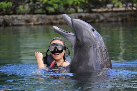 Dolphin Quest Oahu - Swim with Dolphins