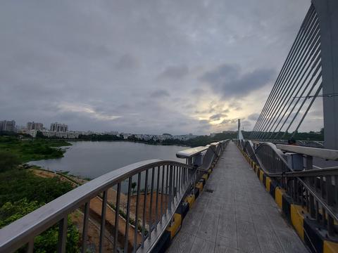 Cable Bridge