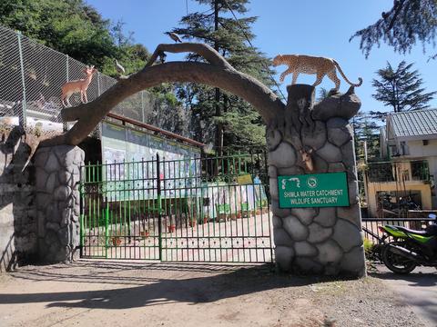 Shimla Water Catchment Wildlife Sanctuary