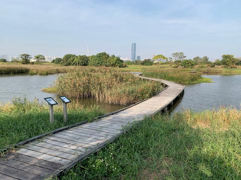 Mai Po Nature Reserve