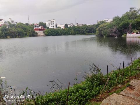 Lotus Pond