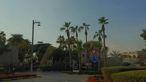 The Palm Jumeirah