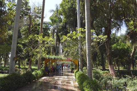 Aswan Botanical Garden