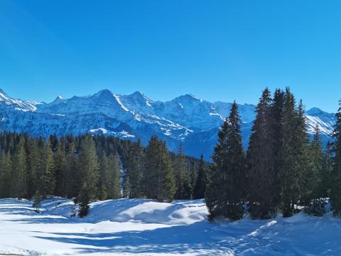 Alp Chüematte