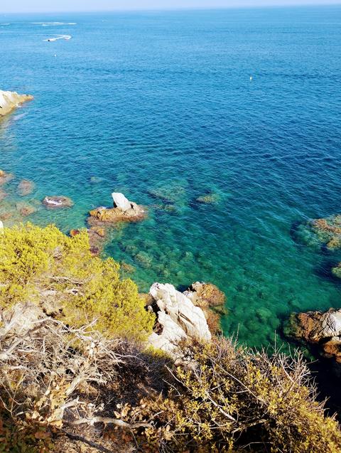 Camino de Ronda (Fenals)