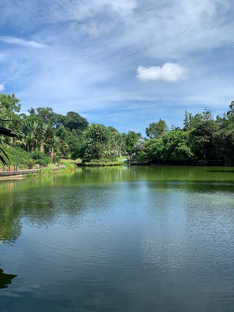 Singapore Botanic Gardens Eco Lake