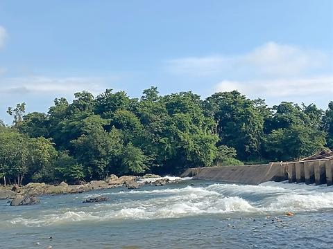 Netravathi River Dam, Dharmasthala