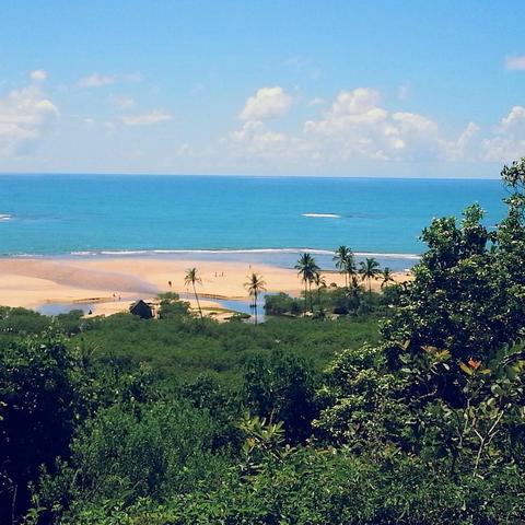 Coqueiros Beach