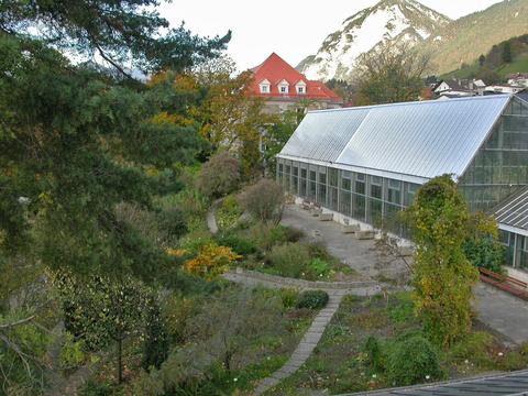 Innsbruck University Botanical Garden