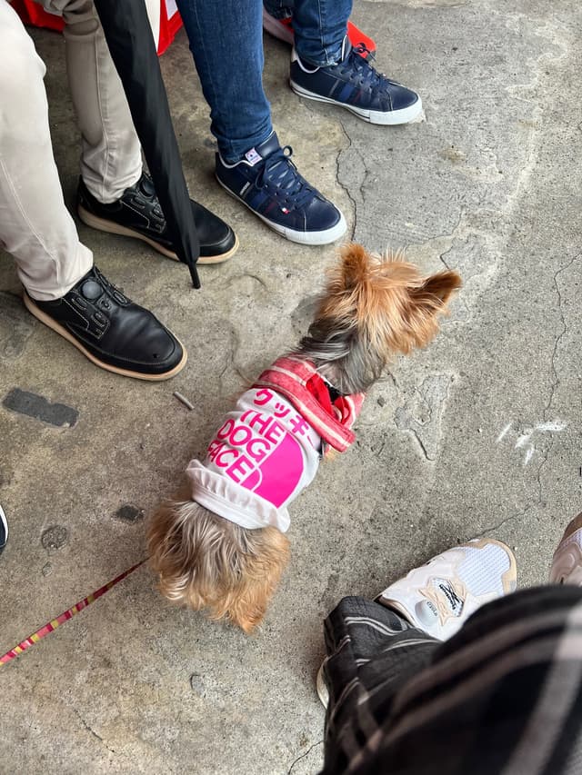 鶴橋まぐろ食堂