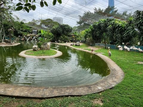 KL Bird Park