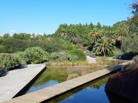Barcelona Botanical Garden