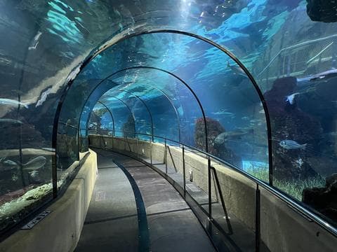 Aquàrium Barcelona
