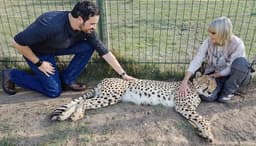 Cheetah Outreach