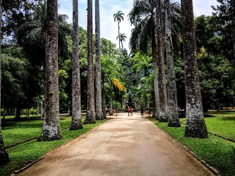 Botanical Garden of Rio de Janeiro