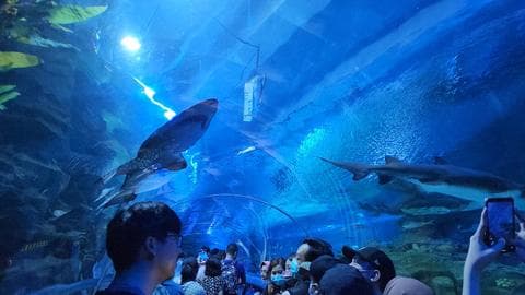 Aquaria KLCC