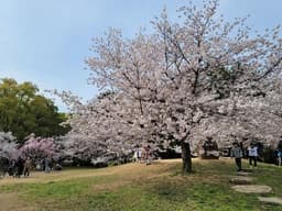 Nagai Park