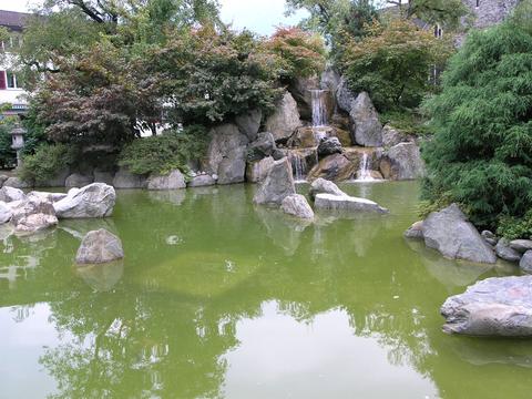Japanischer Garten Interlaken