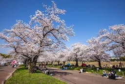 Expo ’70 Commemorative Park